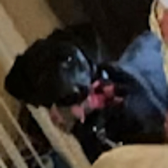 Meet your Posher, James - Picture 1 of 1